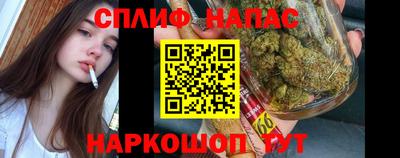 apvp Краснодар