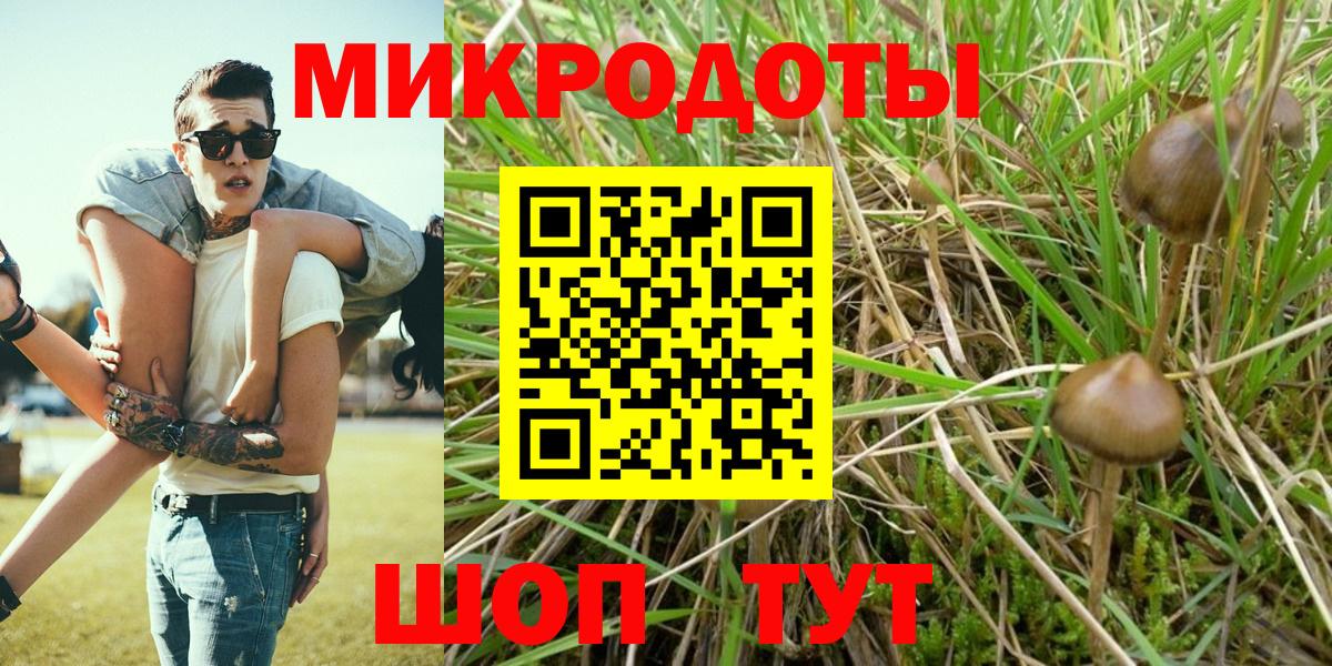 Ивантеевка  Псилоцибиновые грибы Psilocybine cubensis  Вход с VPN 